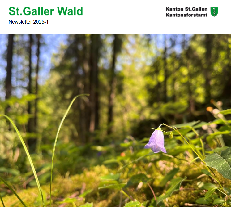 St.Galler Wald 2025-1